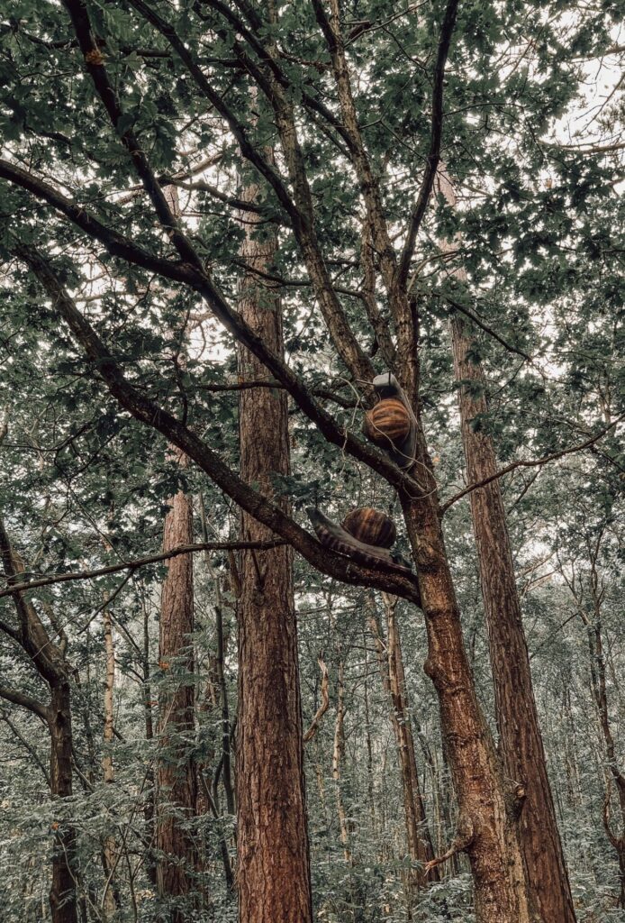 Dieren van hout