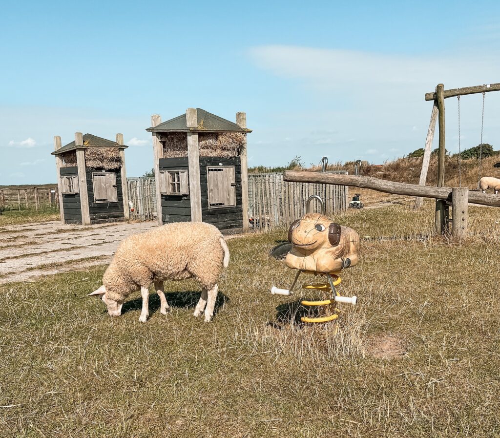 Speeltuin tussen de schapen