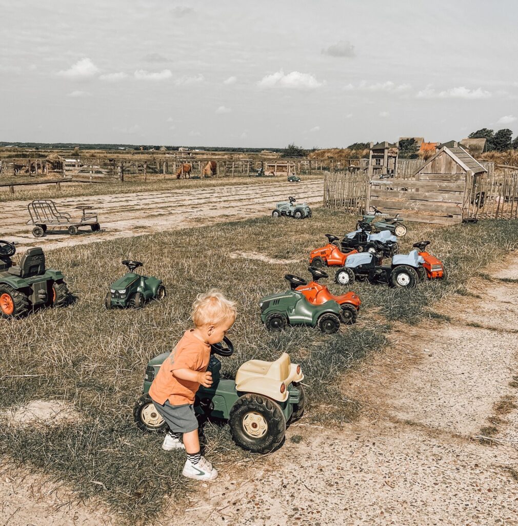 Schapenboerderij Texel