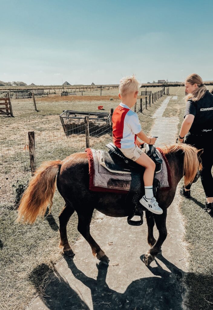 Ponyritje op de Schapenboerderij