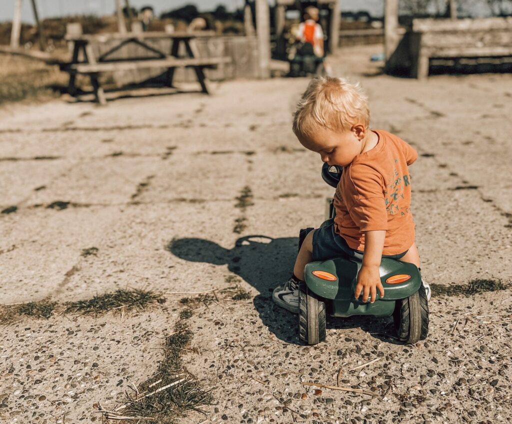 Schapenboerderij Texel