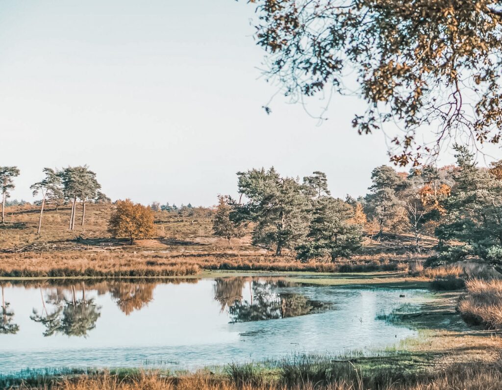 Nationaal Park De Maasduinen