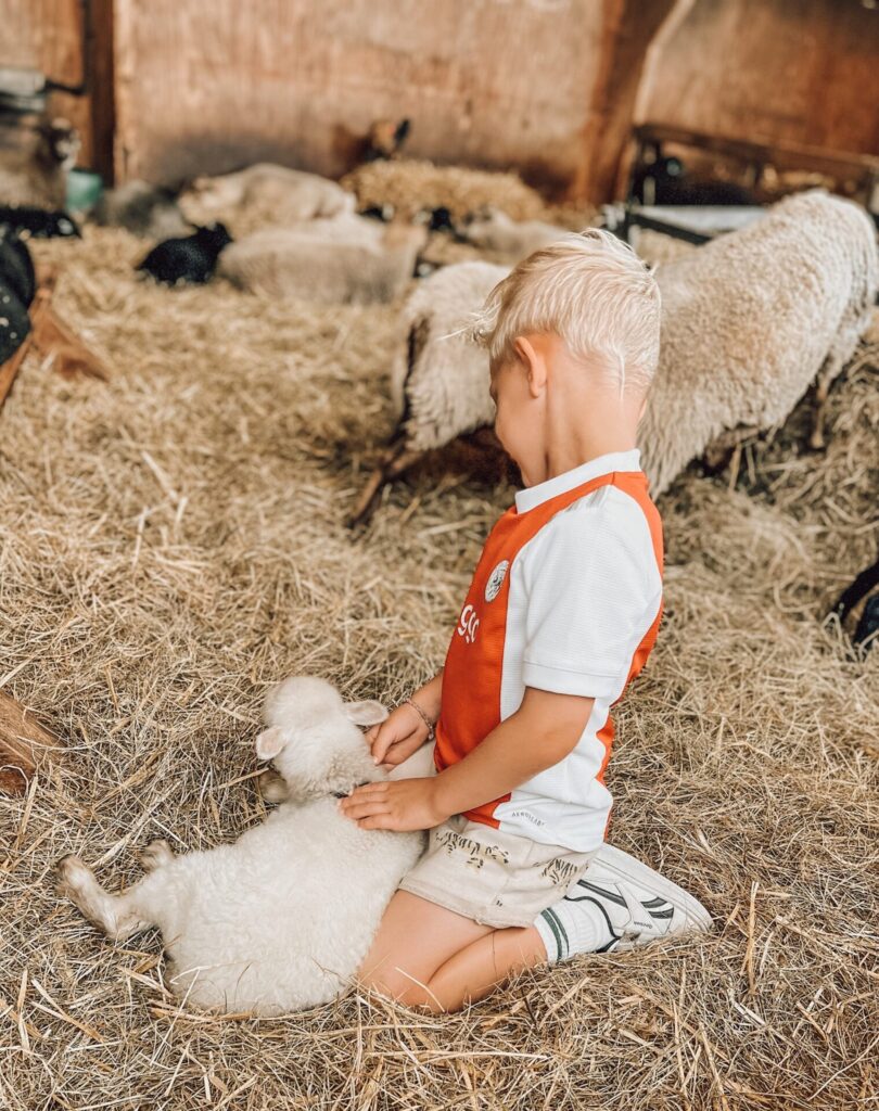 Schapenboerderij Texel was een van de hoogtepunten van onze kinderen! 