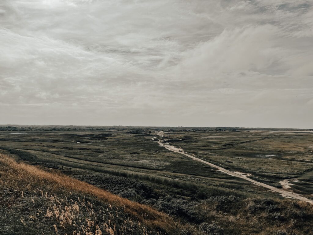 De Slufter op Texel is een aanrader voor een tussenstop! 