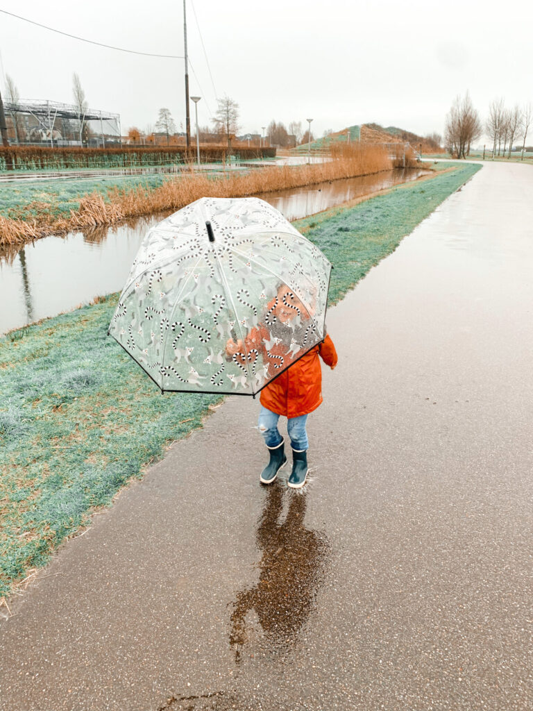 Regenlaarsjes