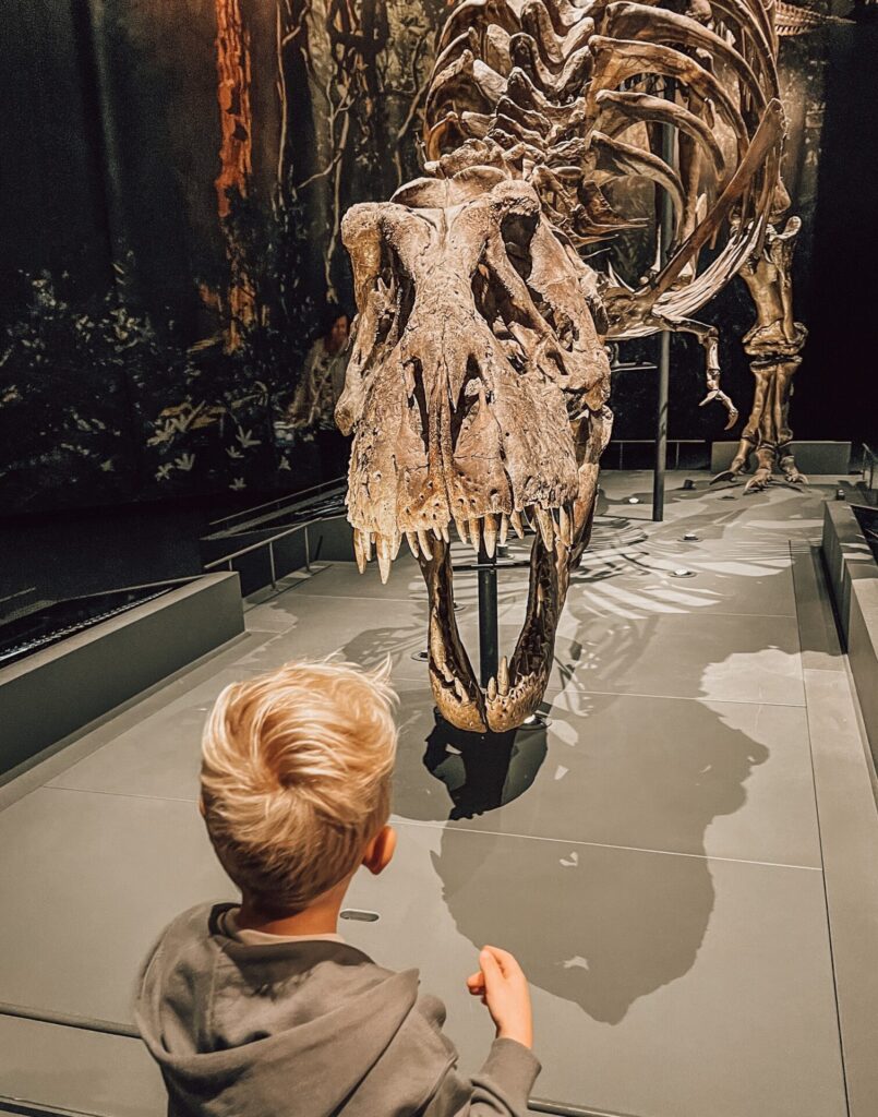 Museum Naturalis - een perfect museum voor kinderen in Leiden.