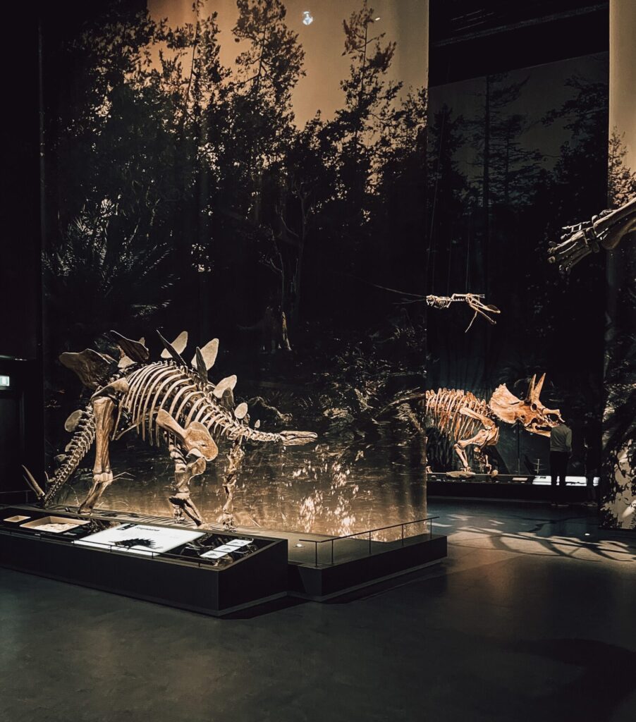 Museum Naturalis - Dinotijd