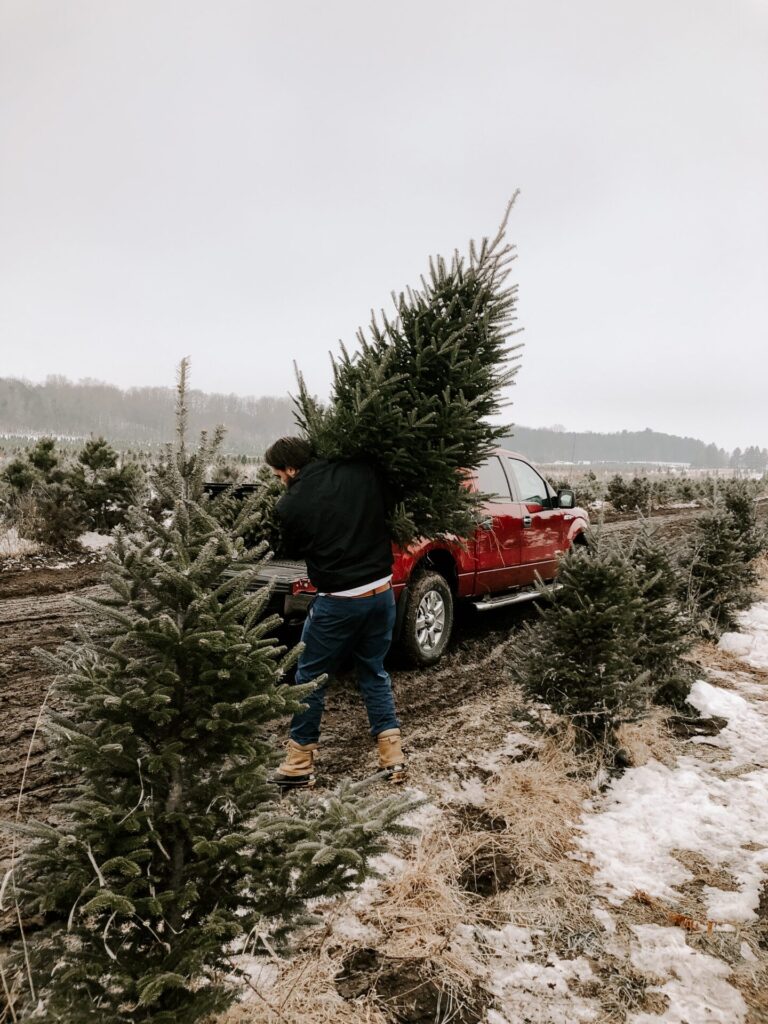 Heerlijke kersttradities met kinderen: de kerstboom uitzoeken