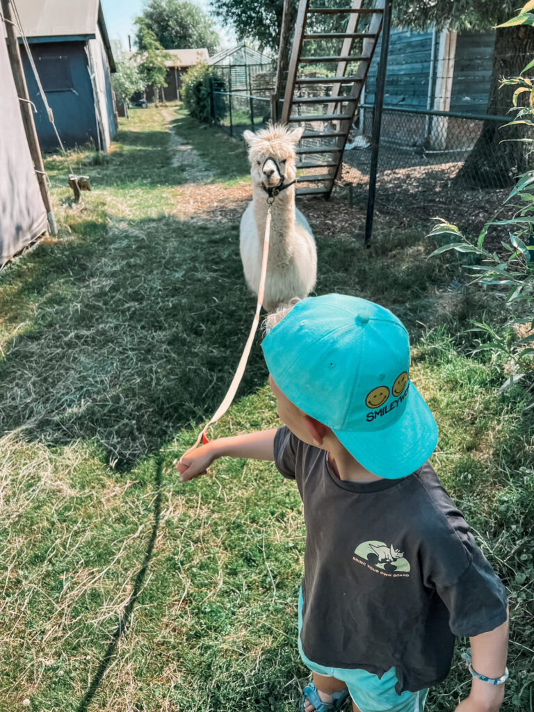 BoerenBed Hoeve de Betuwe is perfect met kinderen