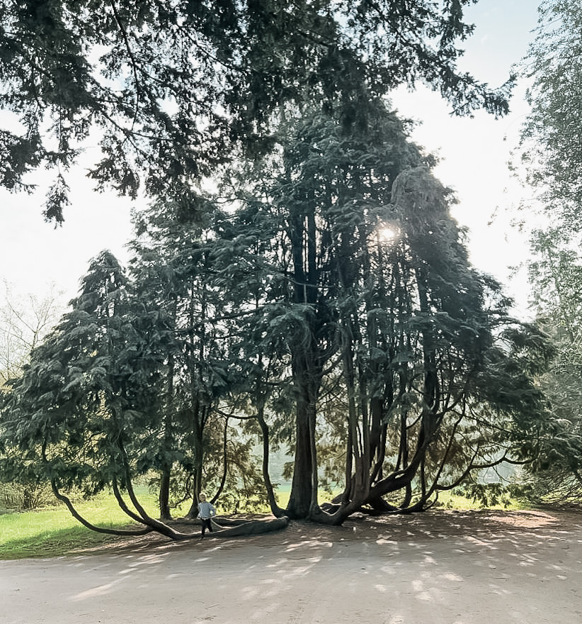 Leuk in Bremen is het Bürgerpark. Mega veel speeltuinen voor de kids!