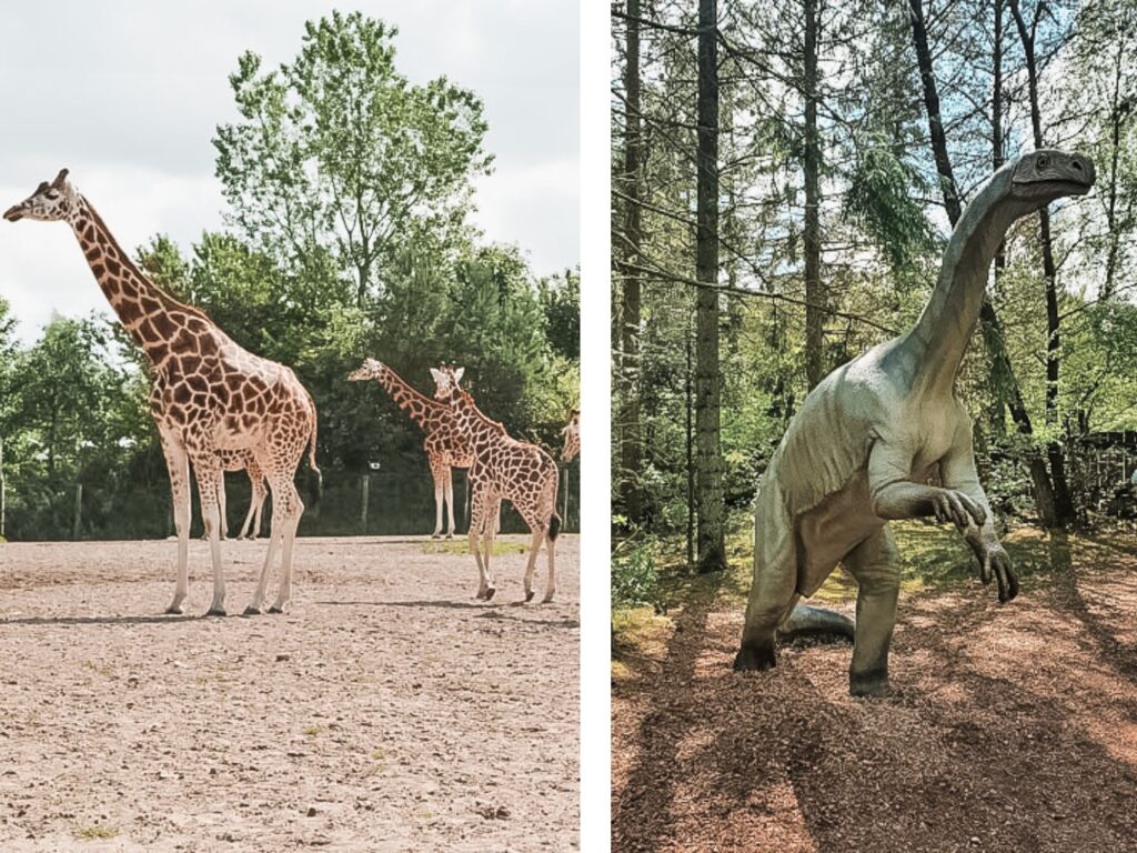 GIVSKUD ZOO in Denemarken met een cool dinopark! 