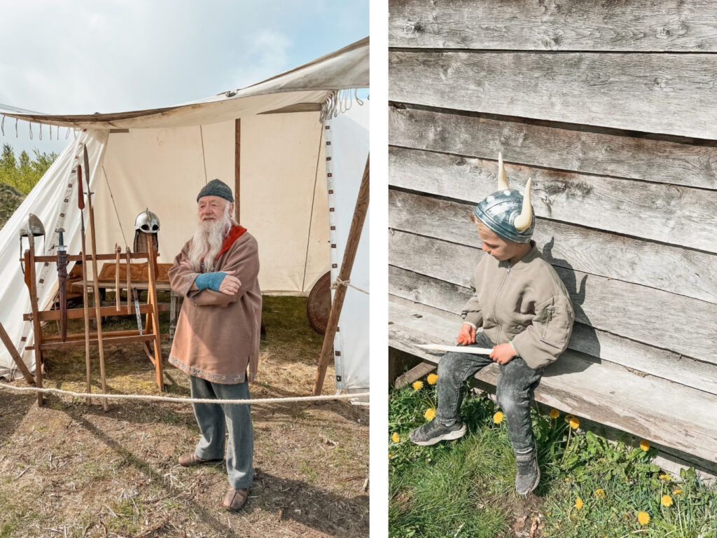 Ribe Vikingcenter