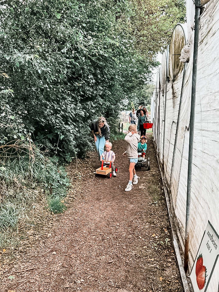 Voedselbos Texel met kinderen