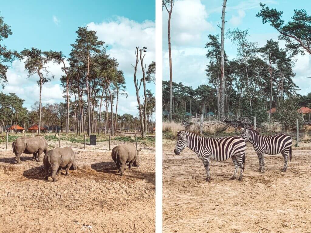 Overnachten in Beekse Bergen