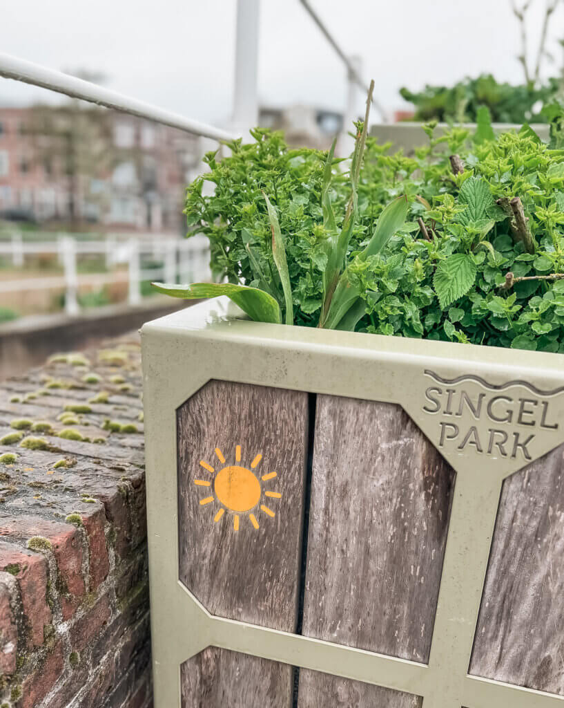 De Singelparkroute in Leiden is echt een aanrader, ook met kids! 