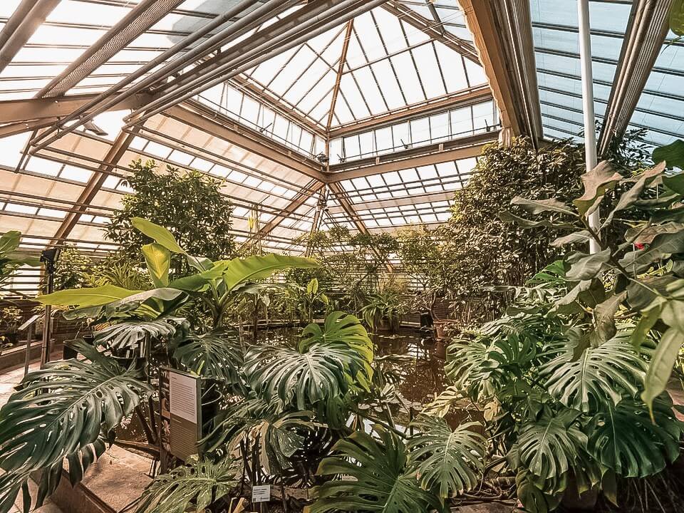 Hortus Botanicus in Leiden is ook heel leuk met kids