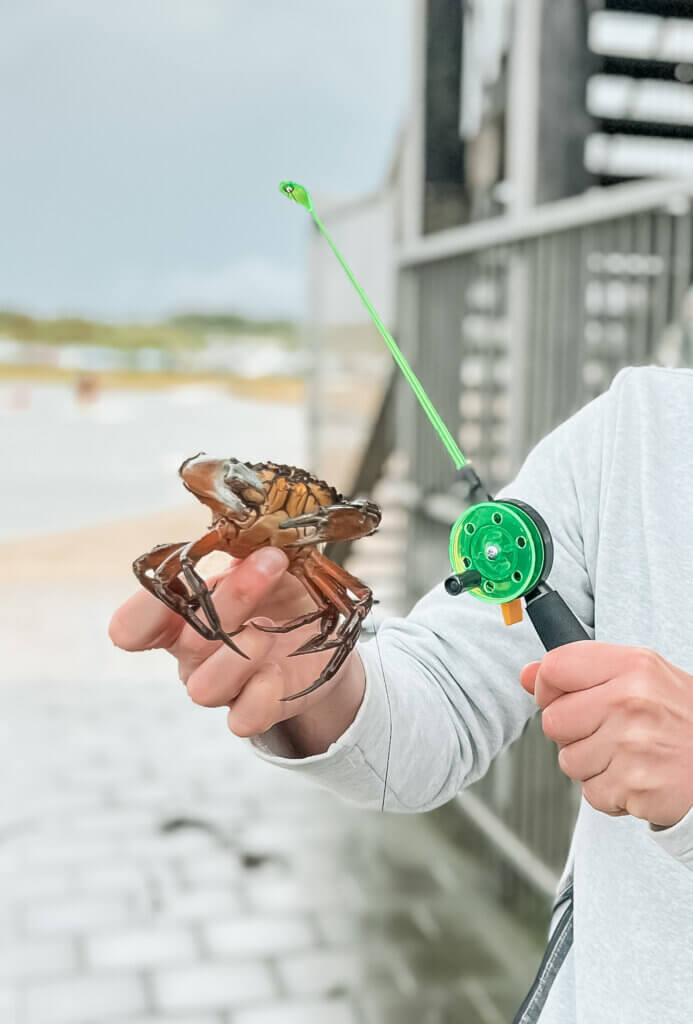 Krabben vangen in Zeeland met kinderen aan het Grevelingenmeer